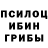 Галлюциногенные грибы MAGIC MUSHROOMS Marif Yusubov