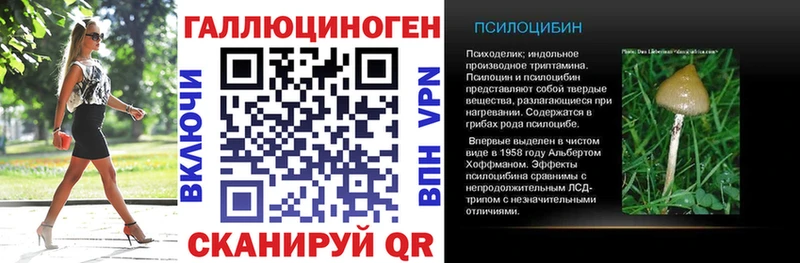 Псилоцибиновые грибы мицелий Томмот