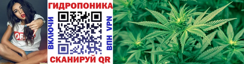 купить наркотики цена  Томмот  Марихуана гибрид 